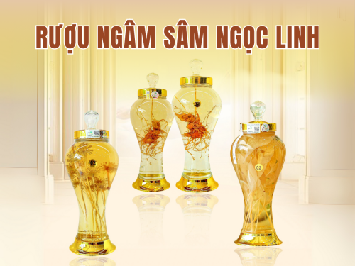 Hướng dẫn làm sâm Ngọc Linh ngâm rượu: Đúng cách - đúng liều - an toàn
